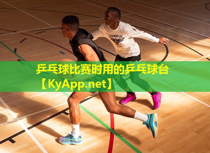 乒乓球比赛时用的乒乓球台