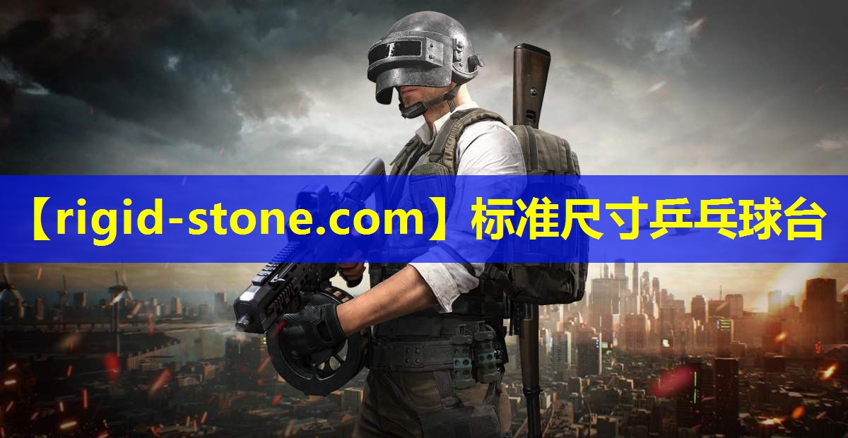 <strong>标准尺寸乒乓球台</strong>